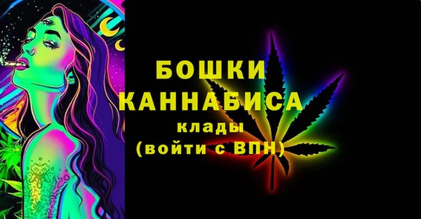 мдпв Богданович