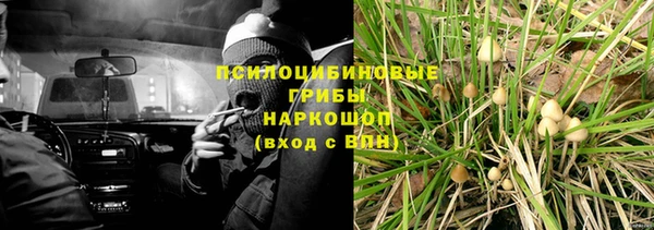 мдпв Богданович