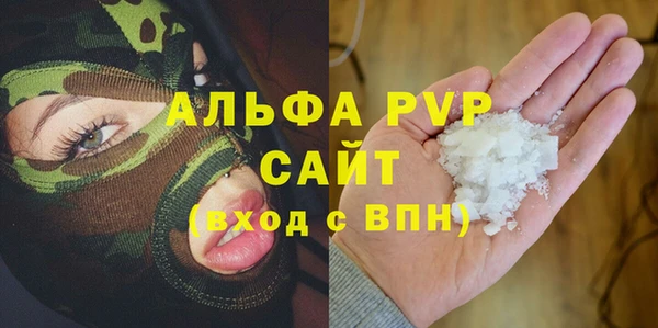 мдпв Богданович