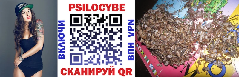 Псилоцибиновые грибы Psilocybe  Петропавловск-Камчатский 
