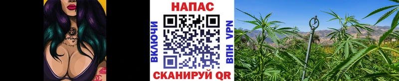 закладки  Петропавловск-Камчатский  Шишки марихуана AK-47 